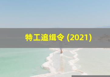 特工追缉令 (2021)